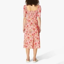 Exquisite Clothing -Exquisite Clothing 18377841 2