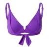 Melissa Odabash Violet Palm Beach Bikini Top 1 Melissa Odabash Violet Palm Beach Bikini Top -Exquisite Clothing 18618681 1